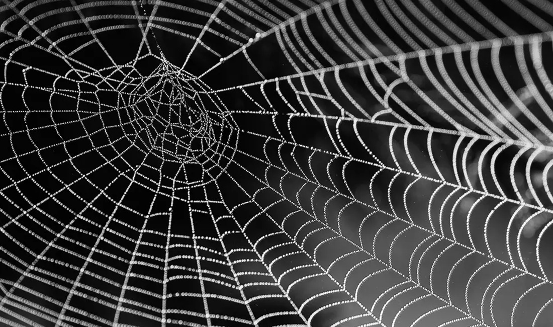 How to Keep Spiders Off Patio Furniture